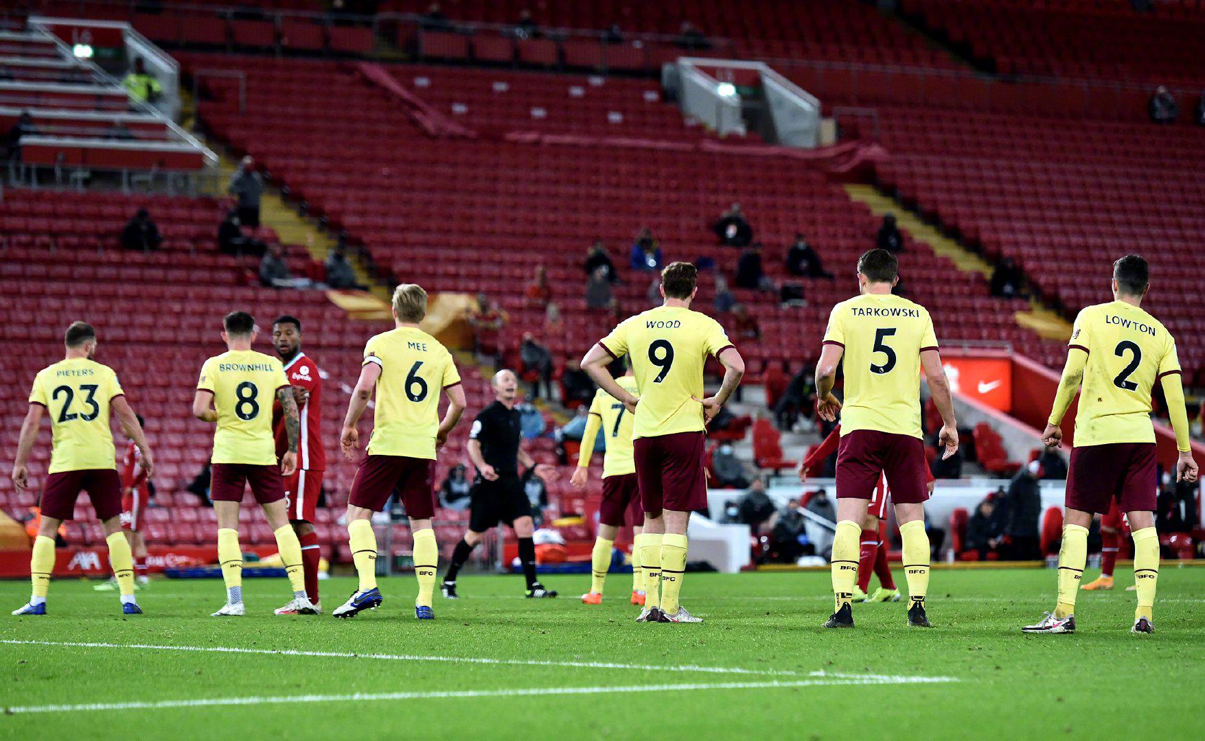 陜西西北青 陜西西北青