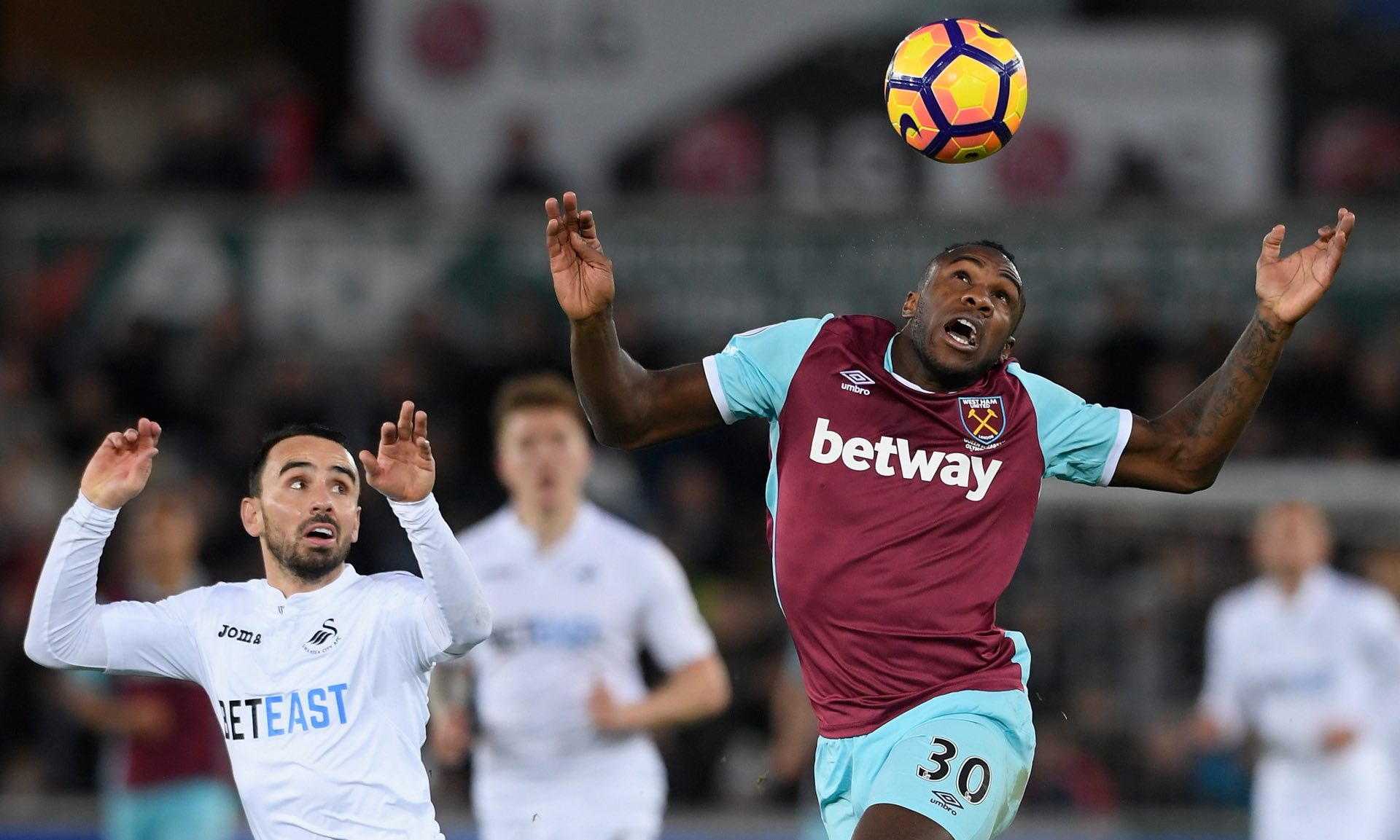 大利队强大 大利队强大