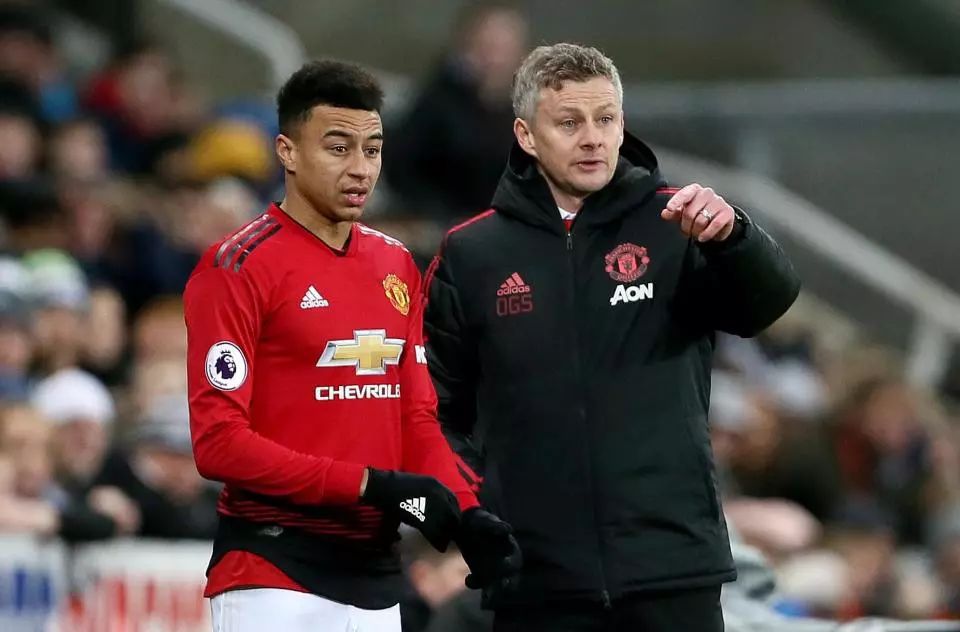 青岛海牛足 青岛海牛足